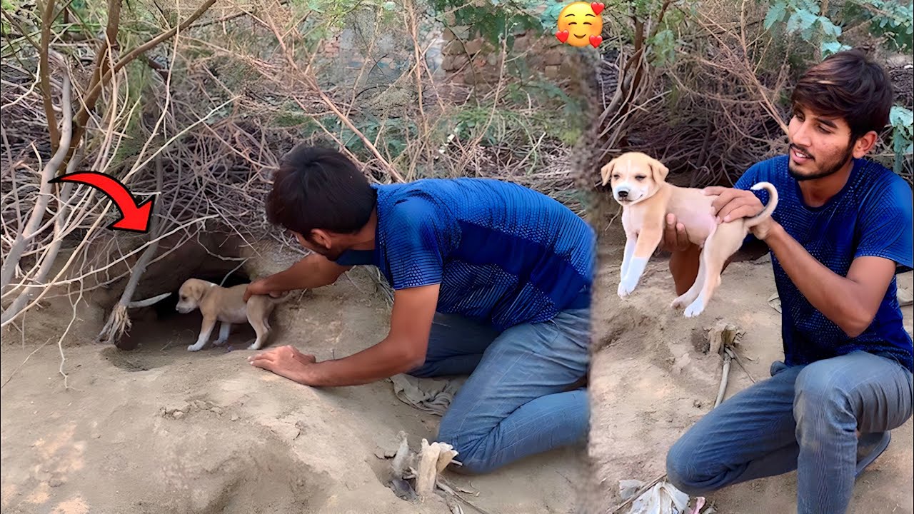 Female Dog Ky Cute Puppy Ko Hole Sy Nikal Liya😍