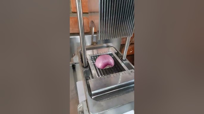  YOOYIST Electric French Fry Cutter Automatic Potato