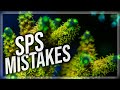 Top 8 Beginner SPS Mistakes | Acropora Tips