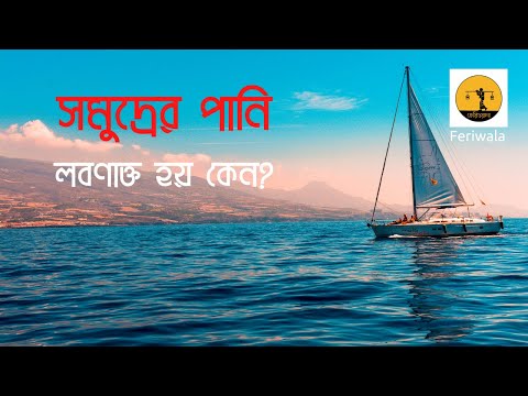 ভিডিও: পৃথিবীর সবচেয়ে লবণাক্ত পানি কোথায়?