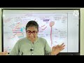 Target 2025//Competitive Exams// Science Class//Nervous System Part 2//