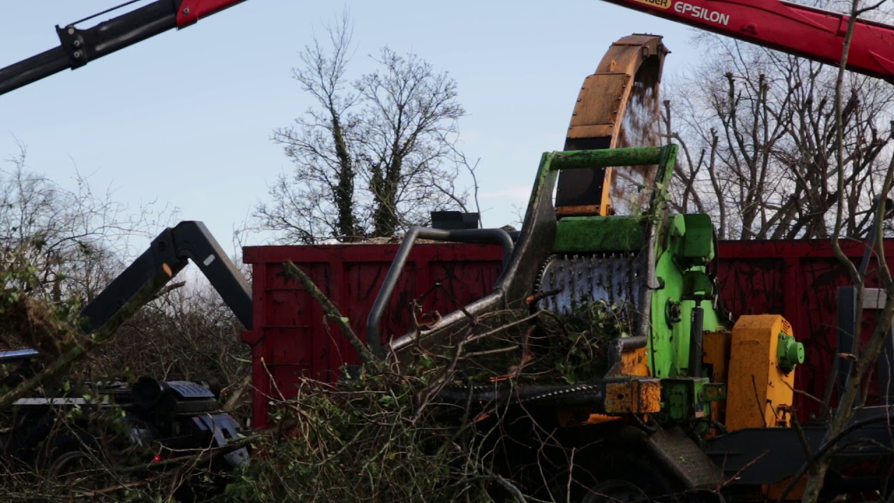 Thomson chipper shredding large ivy covered tree | Thomson Environmental Consultants