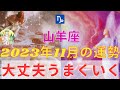 やぎ座さん⭐️11月の運勢⭐️心配いりません🍀すべてうまくいきますよ✨【タロット&星】
