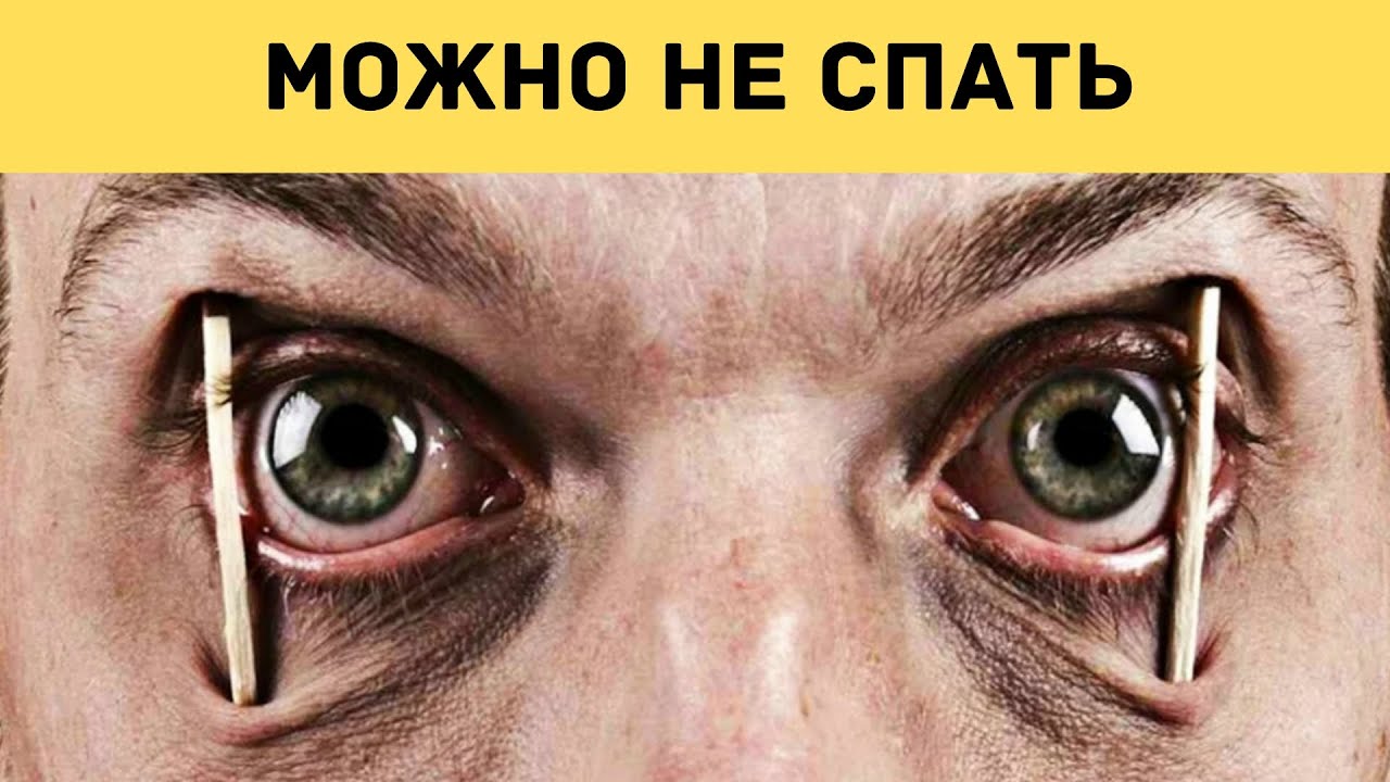 Сколько должен спать человек? Нужно ли не спать совсем? - YouTube