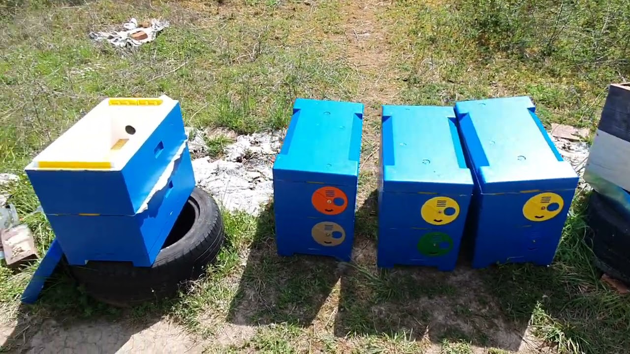 Cum pregatesc pentru cules stupii SUPRAPUSI - partea 1 - 26 Aprilie 2021