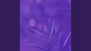 Scintillating Moods for Morning Routines