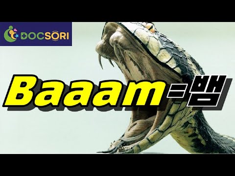 #69 (SUB)I got bitten by a snake! Snake teaching and treatment/medical channel Docsori medical TV