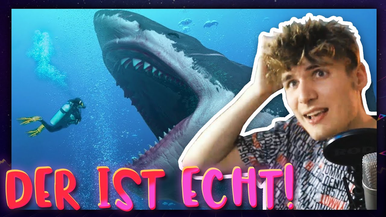 Der MEGALODON - Gibt es IHN noch HEUTE? | Marius Angeschrien Twitch Story