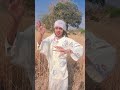 #video#Samar Singh gehun ka top Naam