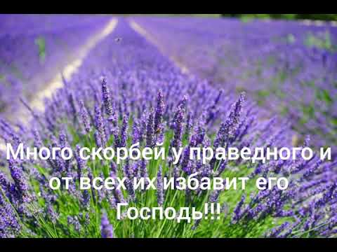 Ты Драгоценность Есть Для Бога.Красивая Песня.Гульчуки.