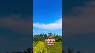 Air Mutanajjis Netral Kembali