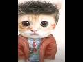 El gato edit by @RlHghltsUSA #kitten #cool #edit