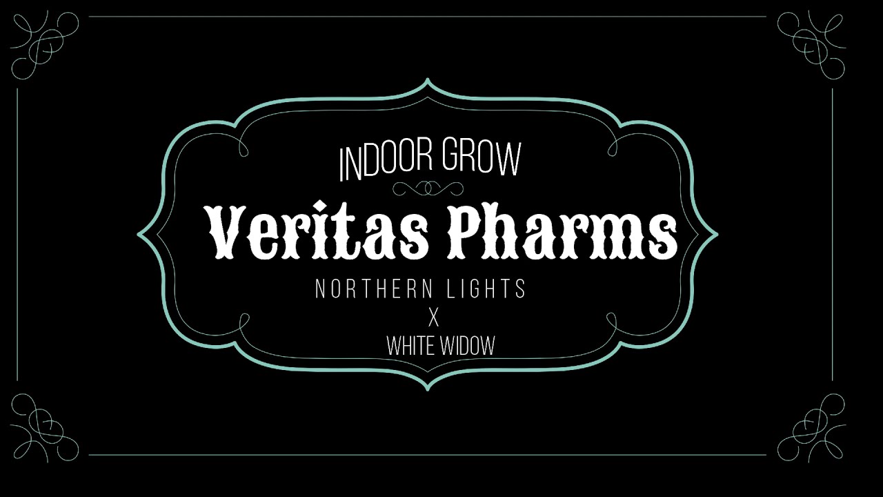 VeritasPharms - Northern Lights x White Widow