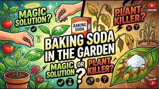 Baking Soda in the Garden: Magic Solution or Plant Killer?