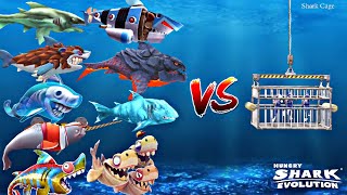 Hungry Shark Evolution - Large Shark Cage Vs All Special Power Sharks 🦈