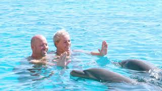 Dolphin Swim  Dolphin Academy Curaçao