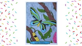 Coloring Queen Alexandra Birdwing Butterfly Insect Color Page with Markers Speed Color Time Lapse