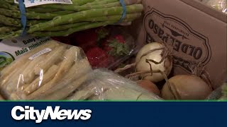 ‘Astonishing’ demand: Calgary Food Bank hosts citywide food drive