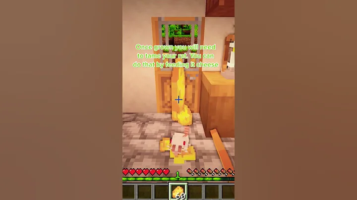 #minecraft #minecraftmods #moddedminecraft #minecraftrats #rats #mods #mcgamer #GamerGirl #minecraft