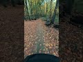 POV: MTB Autum Forest Ride in Kyiv