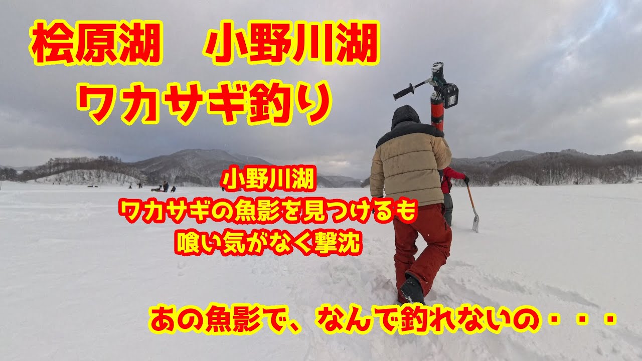2025年2月22日　小野川湖　氷上ワカサギ釣り　ワカサギが居るのに釣れない現象が勃発　ど～すればいいんですかね～？