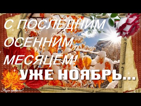 КРАСИВОЕ ПОЗДРАВЛЕНИЕ С 1 НОЯБРЯ!🍂 С ПОСЛЕДНИМ ОСЕННИМ МЕСЯЦЕМ!🍂 СКОРО ЗИМА! С НАЧАЛОМ НОЯБРЯ!🍂