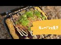 【キャベツ焼き】ホットサンドメーカーで焼いていく！#Shorts