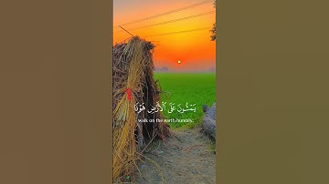وعباد الرحمن الذين يمشون على الأرض هونا 🌿 🥀 القارئ ياسر الدوسري #quran #اكسبلور #قران #راحة_نفسية