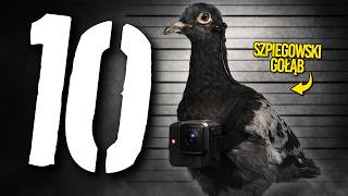 10 Gadżetów Prawdziwych Szpiegów Topowa Dycha