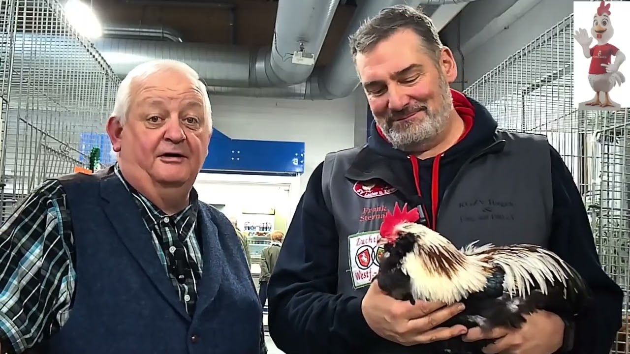 Interview mit Züchter Frank Sternal aus Hagen in Westfalen