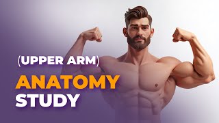 Master Human Anatomy (Upper Arm) in 10 Minutes screenshot 5