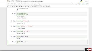 Python for Economics: Variables, Data Types, and Logic Structures (LPy1.1)