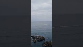 24.01.03 강원도 동해시 묵호 어달항 가는  길에 있는 동해비치모텔 바다 위에 떠있는 기분