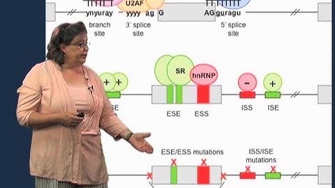Splicing mutations - Melissa Moore (U Mass/HHMI)