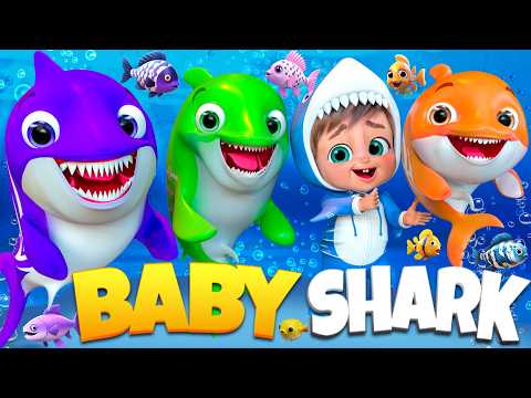 Baby Shark in Coral Reef Fun | Songs for Children | Bei Bei - Nursery Rhymes #babyshark