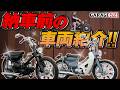 【車両紹介】納車直前のスタンダード&エウレカを紹介!