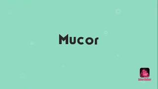 Genus Mucor Fungi