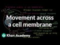 How do things move across a cell membrane? | Cells | MCAT | Khan Academy