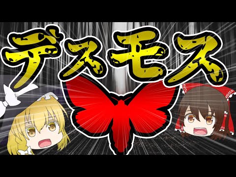 【ゆっくり解説】『デスモス』をただの蛾だと思ってはいけない。【The Backrooms】