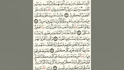 ماهر المعيقلي سورة فاطر مكتوبة صفحة 438 مصحف المدينة المنورة جودة عالية