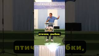 Хаотичное движение жизни