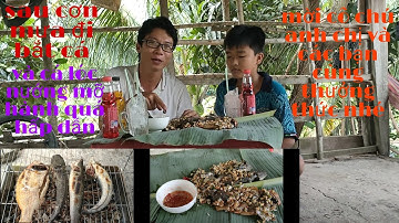 Anh Hai Cận Vlog.đi bắt cá sau cơn mưa và món cá lóc nướng mỡ hành đậu phộng rất hấp dẫn