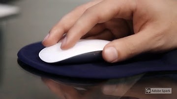 Segmentation and Tracking - Victor Wang