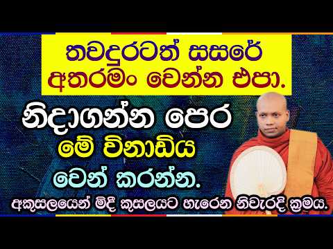 අතහැරීමේ මහා බලය සහ නිවන් මග  | Hasalaka Seelawimala Thero | 3043