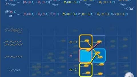 Basic stochastic simulation a: Master equation
