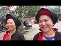 Từ người già đến trẻ nhỏ đều thích đi Hội Lim #hnp