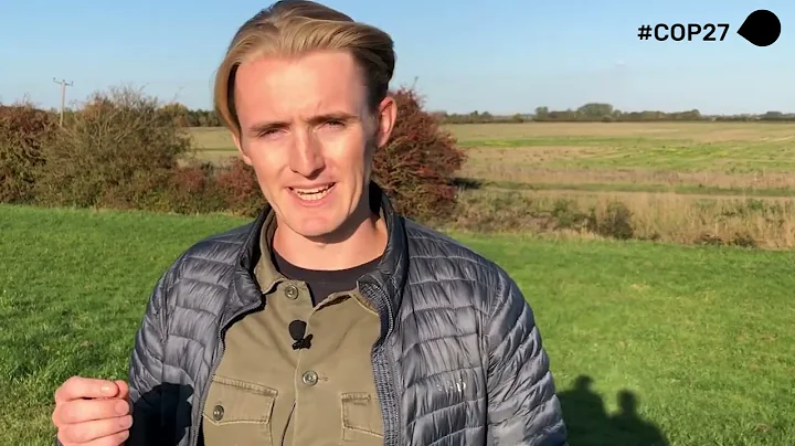 COP27 Spotlight: Future of UK Farming