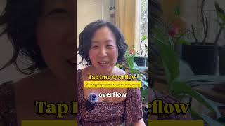 Tap into Overflow of Money