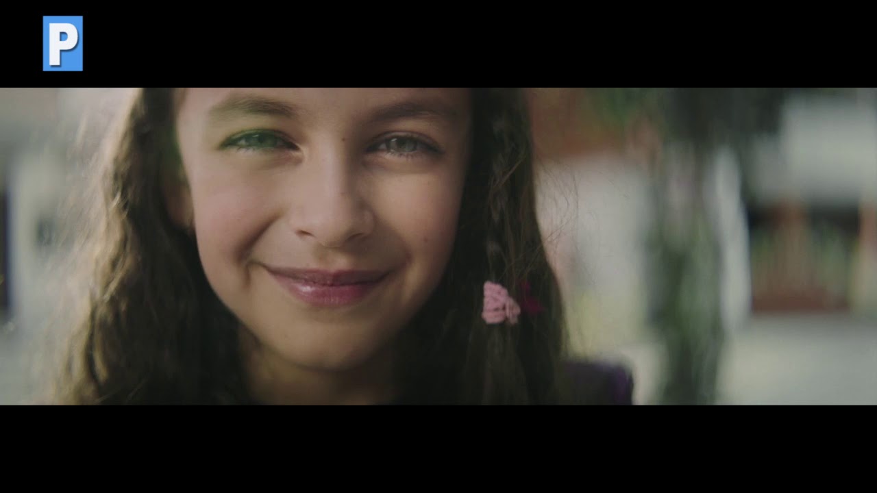 FEDXTREME 305 HD fuerza electromotriz