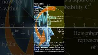 AI Human Consciousness - Are They the Same? Net Worth